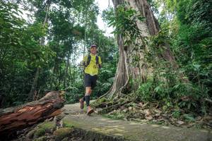 BIB: 
                            <button type="button" onclick="openModal(24809482)" class="btn btn-primary btn-sm float-right btn-popup" data-toggle="modal" data-target=".modal-high-quality">
                        <i class="fas fa-shopping-cart"></i> Add to Cart
                    </button>
                                            <button type="button" onclick="isThisMe(24809482, true)" class="btn btn-success btn-sm float-right btn-popup btn-isme hidden" data-toggle="tooltip" data-placement="bottom" title="นี่คือรูปของคุณใช่ไหม คลิกที่นี่เพื่อเอาเข้าอัลบั้ม">
                        <i class="fas fa-plus"></i> Add to album
                    </button>
                    <button type="button" onclick="isThisMe(24809482, false)" class="btn btn-warning btn-sm float-right btn-popup btn-isnotme hidden">
                        <i class="fas fa-ban"></i> Remove from album
                    </button>